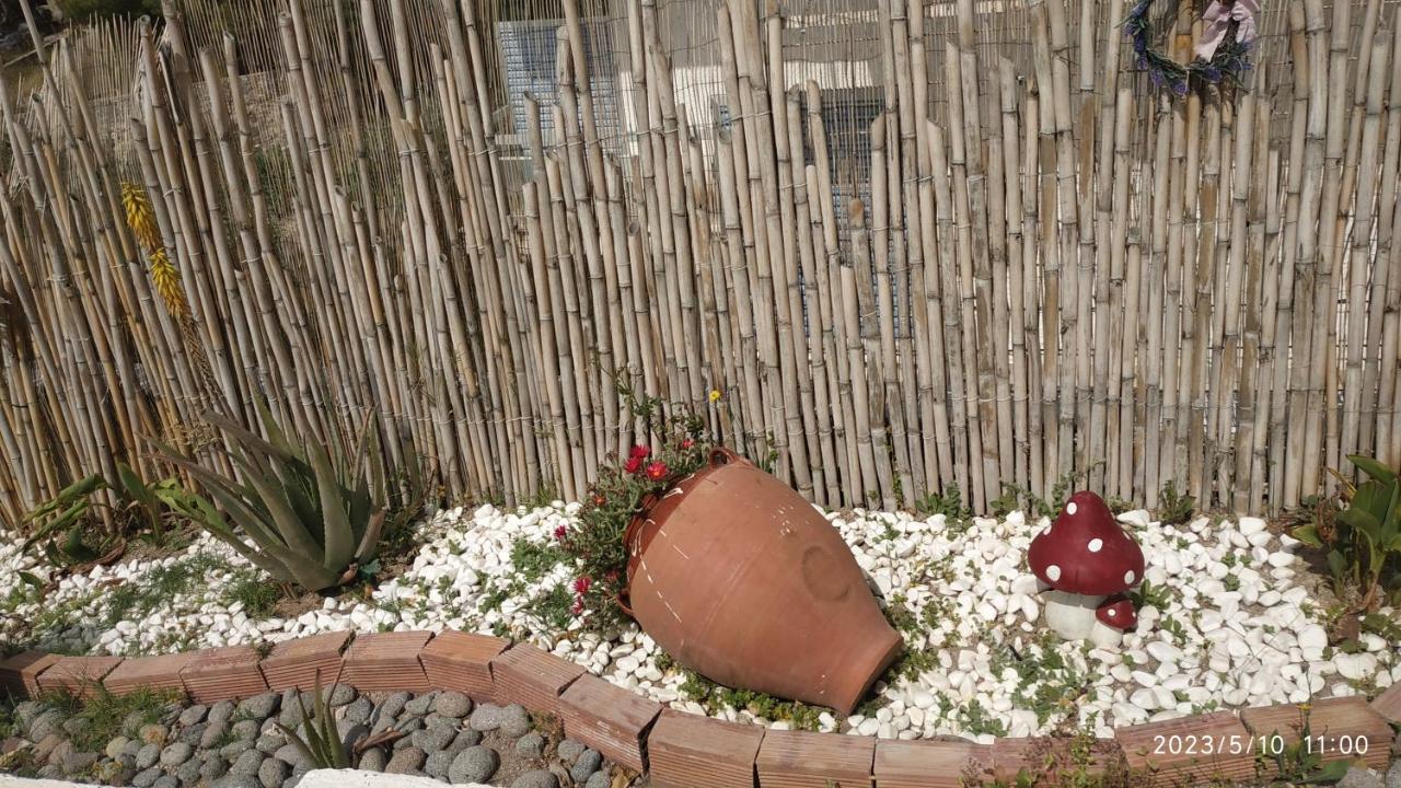 Meltemi Apartments Agia Marina  Екстер'єр фото