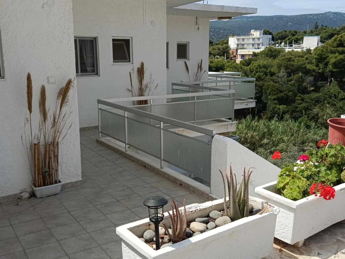 Meltemi Apartments Agia Marina  Екстер'єр фото