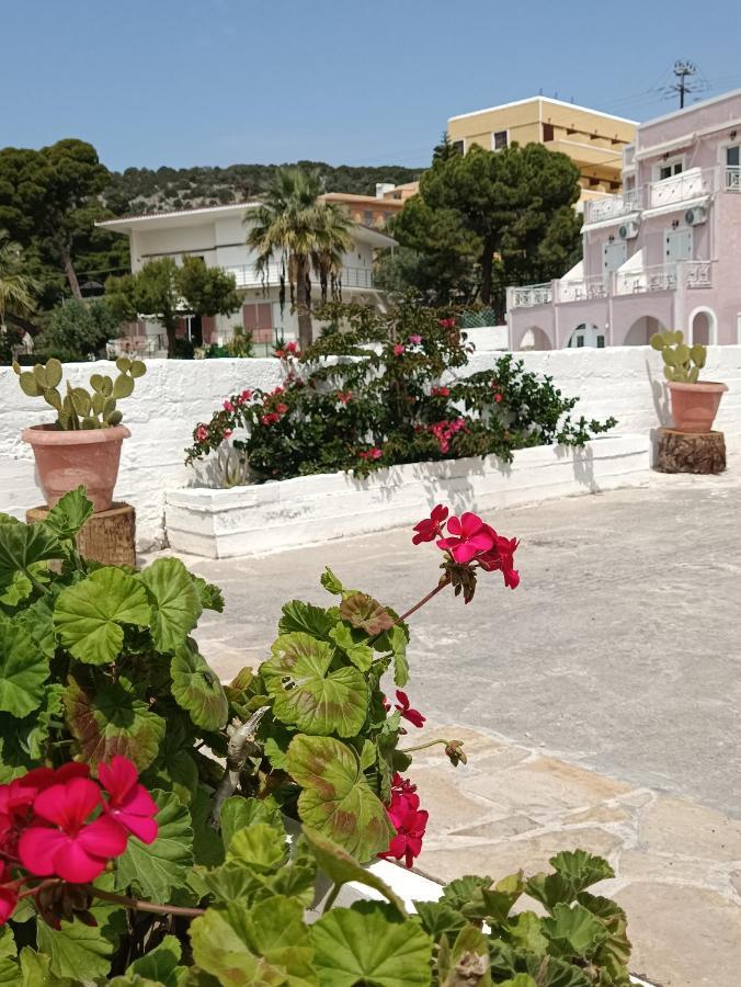 Meltemi Apartments Agia Marina  Екстер'єр фото